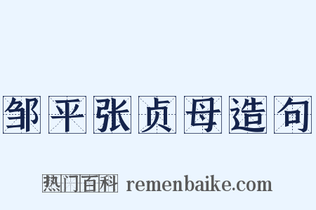 邹平张贞母造句是什么意思的图片